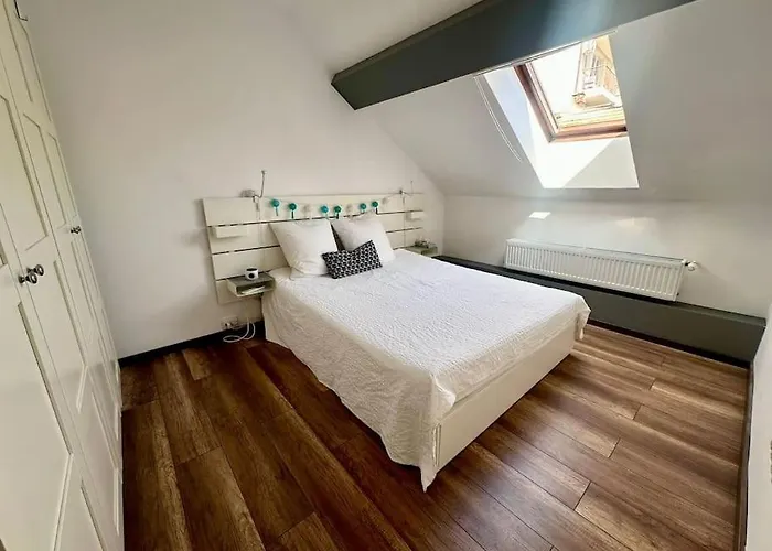 ヴィラ Casa Curte Interioara, Centru